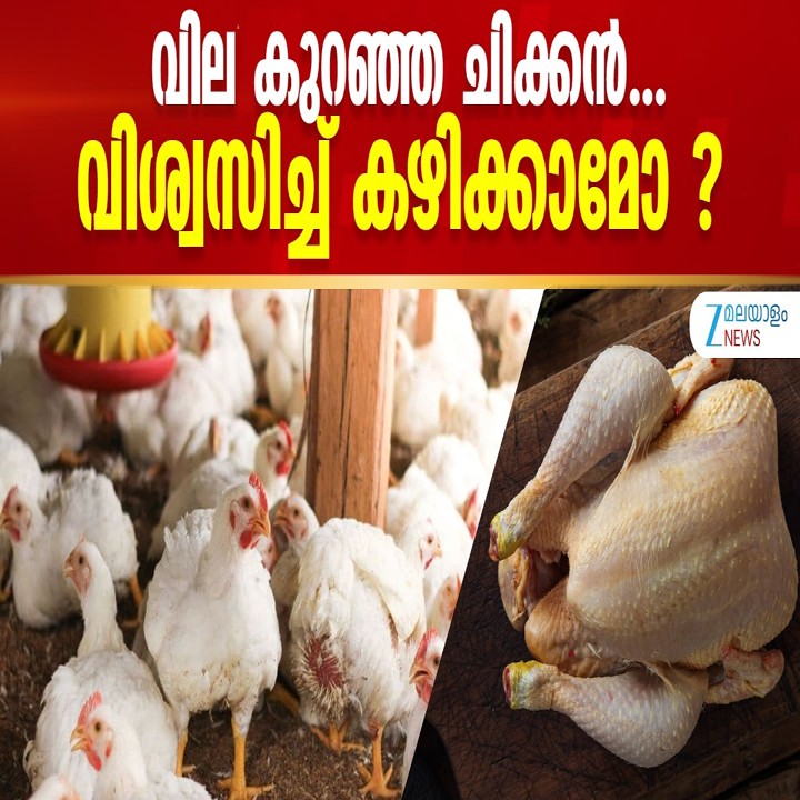 Chicken Prices Fall, but Concerns Grow Over the Safety of Meat Reaching Kerala